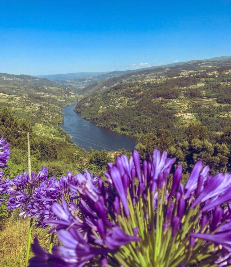 Marco de Canavezes Mira Douro Valley Home מראה חיצוני תמונה